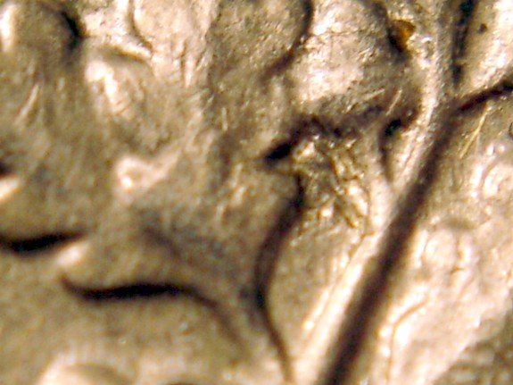 1988-P-Roosevelt-Dime--What-Is-That--Metal-Below-The-Acorn?